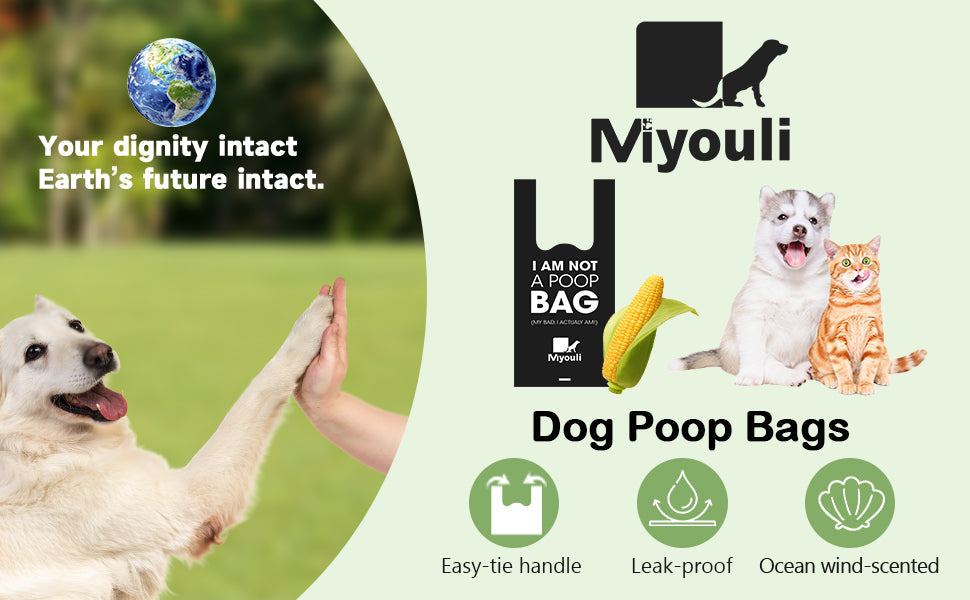 Compostable PBAT cling film